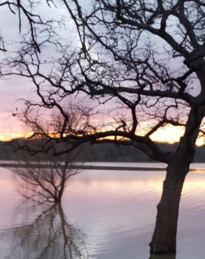 Lake Front Cottage Little Elm ภายนอก รูปภาพ